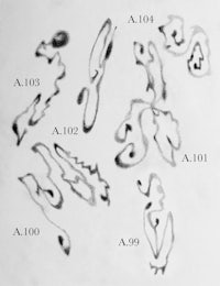 a black and white drawing of a number of drawings