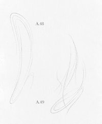 a drawing of a hairstyle with different styles of hair