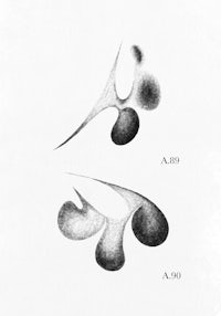 a black and white drawing of a flower
