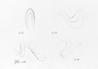 a series of drawings of wavy lines on a white sheet of paper