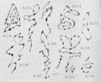 a black and white drawing of various letters and numbers