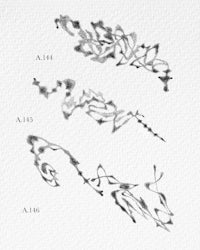 a black and white drawing of a flower